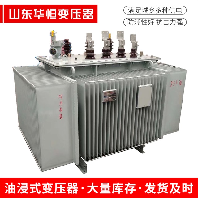 S13-10000/35大东大东大东电力变压器厂家