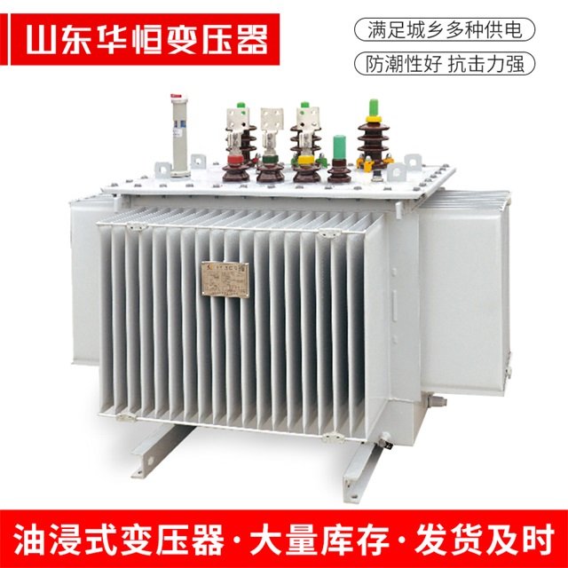 S13-10000/35大东大东大东电力变压器